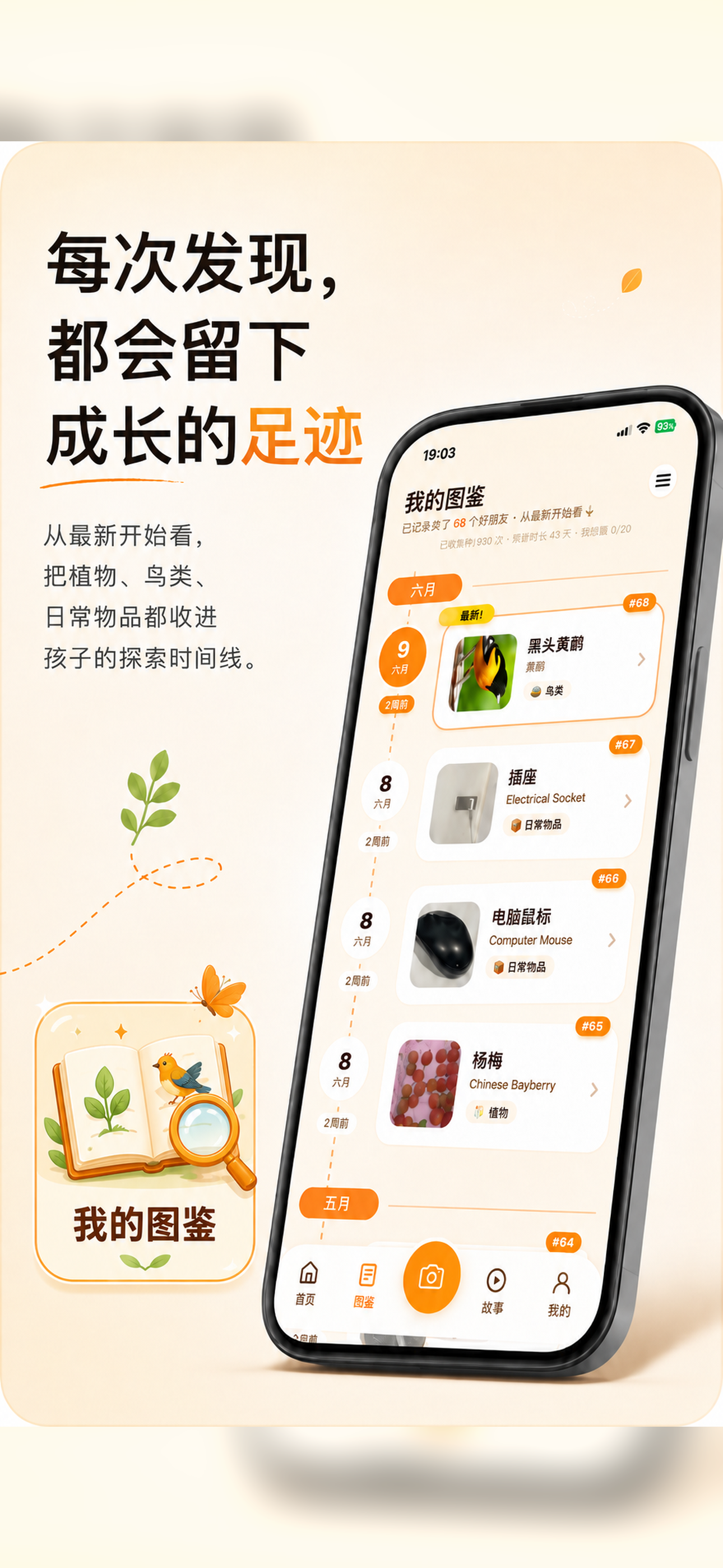 我的图鉴