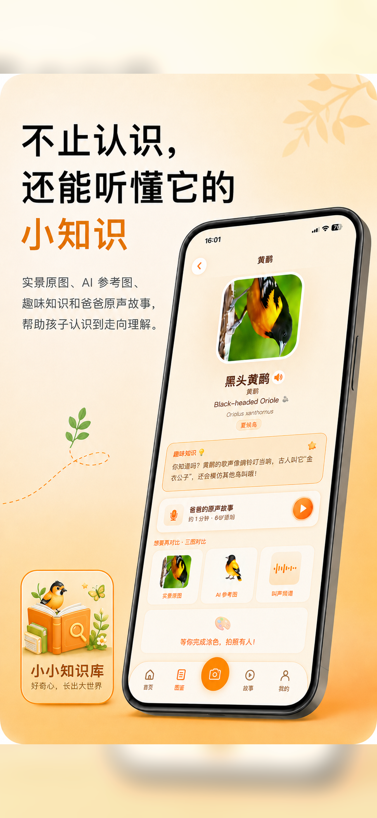 小小知识库